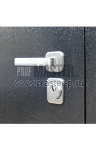 Высокая входная дверь в квартиру 2500мм | Фото 23549