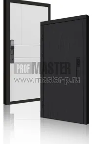 Входная дверь TD-Скиф Блэк Био | Фото 23714