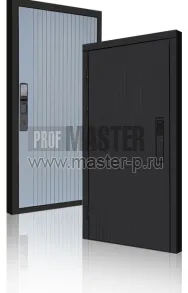 Входная дверь TD-Скиф Блэк Био | Фото 23717