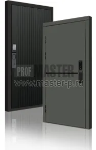 Входная дверь TD-Скиф Грин Био | Фото 23789