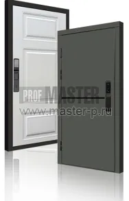 Входная дверь TD-Скиф Грин Био | Фото 23771