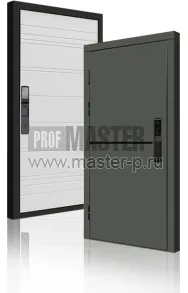 Входная дверь TD-Скиф Грин Био | Фото 23780