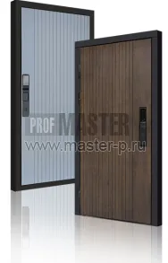 Входная дверь TD-Консул Био | Фото 23837