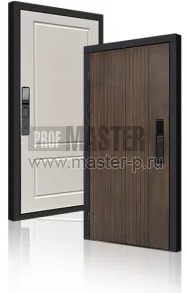 Входная дверь TD-Консул Био | Фото 23849