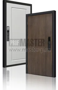 Входная дверь TD-Консул Био | Фото 23852