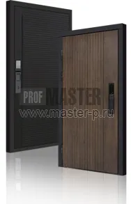 Входная дверь TD-Консул Био | Фото 23855