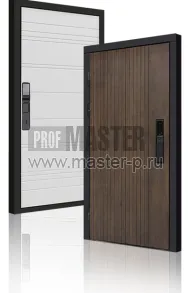 Входная дверь TD-Консул Био | Фото 23861