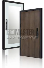 Входная дверь TD-Консул Био Z | Фото 23870