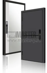 Входная дверь TD-3к Порте Графит Био Z | Фото 23930