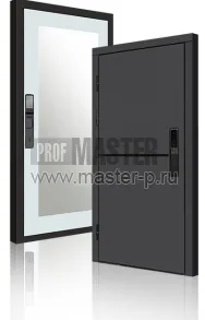 Входная дверь TD-3к Порте Графит Био Z | Фото 23933