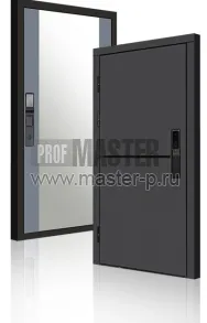 Входная дверь TD-3к Порте Графит Био Z | Фото 23927