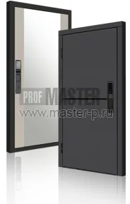 Входная дверь TD-3к Порте Графит Био Z | Фото 23936