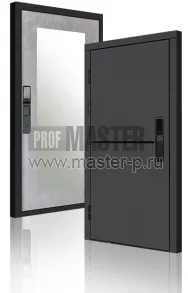 Входная дверь TD-3к Порте Графит Био Z | Фото 23939