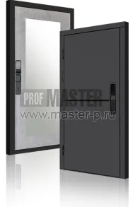 Входная дверь TD-3к Порте Графит Био Z | Фото 23942