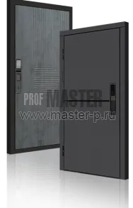 Входная дверь TD-3к Порте Графит Био | Фото 23951