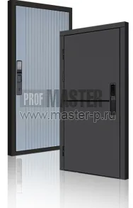 Входная дверь TD-3к Порте Графит Био | Фото 23945