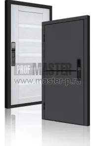 Входная дверь TD-3к Порте Графит Био | Фото 23957