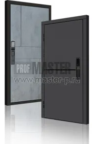 Входная дверь TD-3к Порте Графит Био | Фото 23960