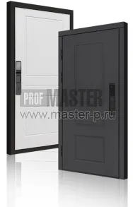 Входная дверь TD-Горизонт Графит Био | Фото 23981