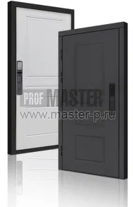 Входная дверь TD-Горизонт Графит Био | Фото 23984