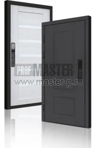 Входная дверь TD-Горизонт Графит Био | Фото 23987