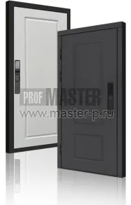 Входная дверь TD-Горизонт Графит Био | Фото 23990