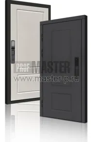 Входная дверь TD-Горизонт Графит Био | Фото 23993