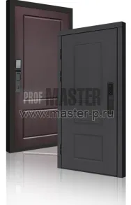 Входная дверь TD-Горизонт Графит Био | Фото 23996