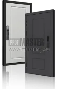 Входная дверь TD-Горизонт Графит Био | Фото 23966