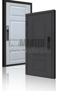 Входная дверь TD-Горизонт Графит Био | Фото 23969