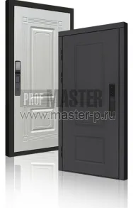 Входная дверь TD-Горизонт Графит Био | Фото 23972