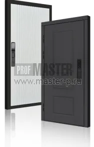 Входная дверь TD-Горизонт Графит Био | Фото 23963