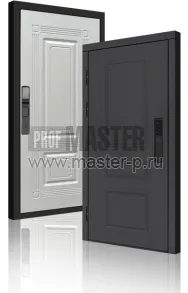 Входная дверь TD-Горизонт Графит Био | Фото 23975