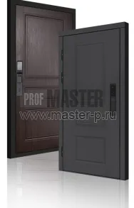 Входная дверь TD-Горизонт Графит Био | Фото 23978