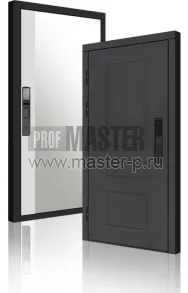 Входная дверь Орегон Графит Био TD Z | Фото 23999