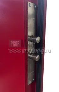 Входная дверь Ред Био | Фото 24095
