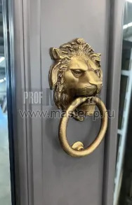 Уличная дверь Антарес | Фото 24179