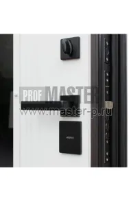 Уличная дверь AD-Суоми | Фото 24257