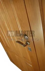 Уличная дверь Троубридж | Фото 1570