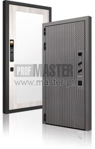 Входная дверь GR-Гиро Смарт Z | Фото 24509