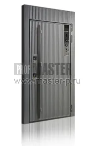 Входная дверь с фрамугой Айрос | Фото 24560