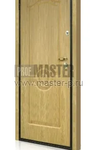 Уличная дверь Ромул | Фото 2709