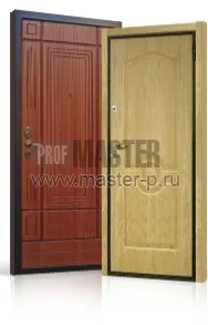 Уличная дверь Ромул | Фото 2706