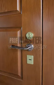 Уличная дверь Виконт | Фото 1636