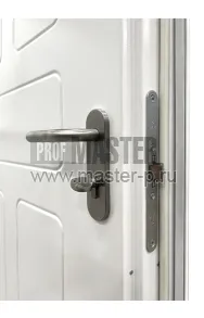 Уличная дверь Лахти | Фото 25604