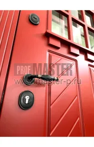 Уличная дверь Леви | Фото 25658