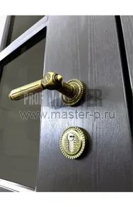 Уличная дверь Котка | Фото 25688