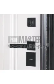 Уличная дверь AD-Бакленд | Фото 25727