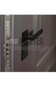 Уличная дверь AD-Бакленд | Фото 25730