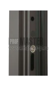 Уличная дверь AD-Бакленд | Фото 25736